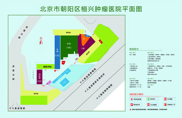 JB视频免费看北京市朝阳区桓兴肿瘤医院平面图